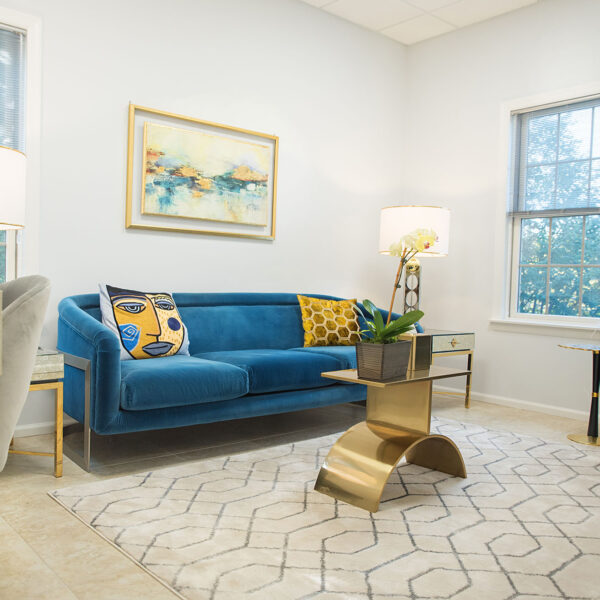 Cozy psychotherapy office interior featuring a blue couch with decorative pillows, gold accent table, and a potted plant, creating a welcoming environment for clients at Dr. Stephen Oreski & Associates.